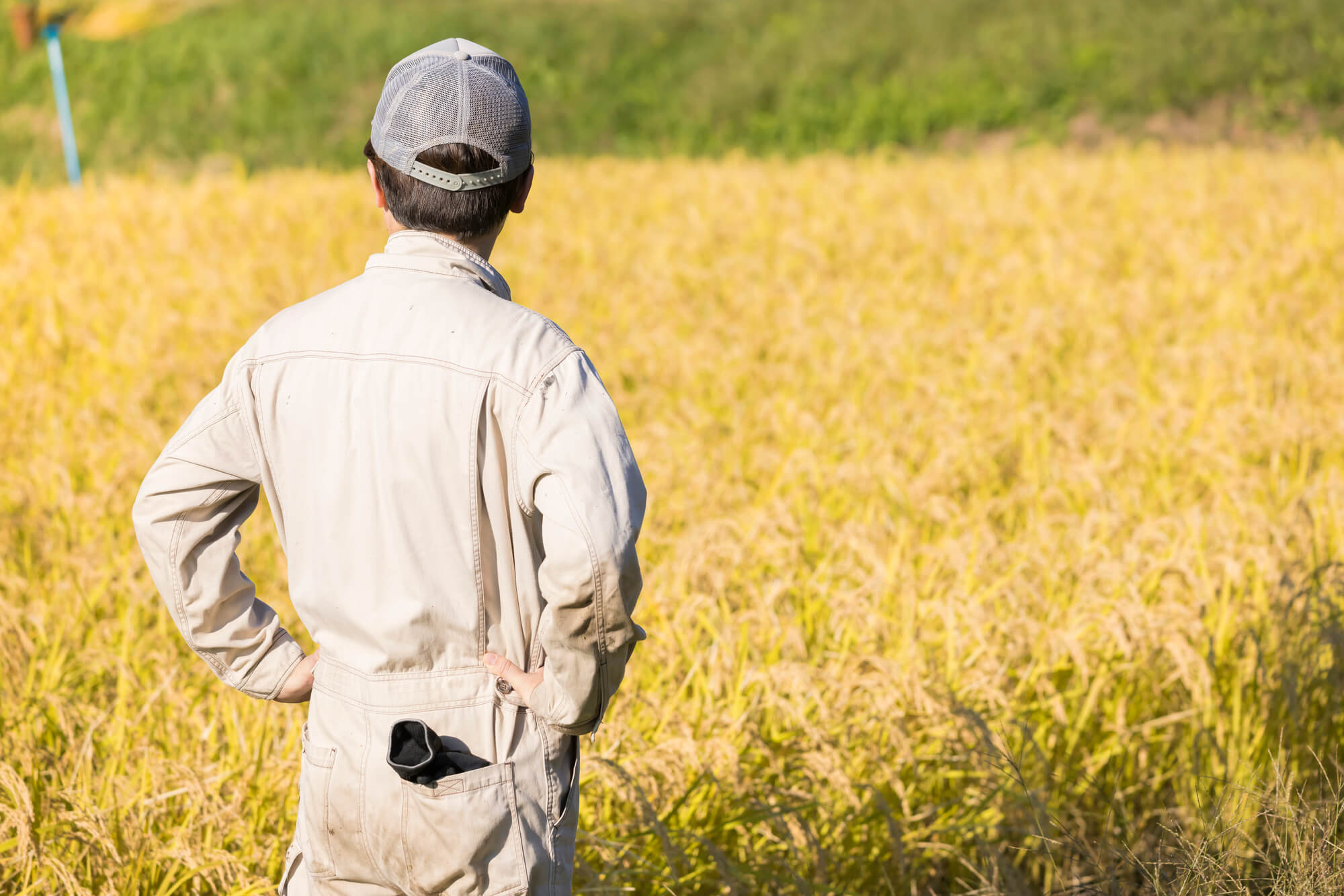 農作業作業着買替イメージ