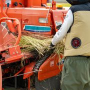 ファン付き作業着は本当に涼しいのか？仕組みと涼しく使うコツ