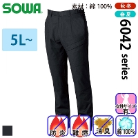 [Ka] 6042-08 J[SpciRA^bNAeS) yTCYz