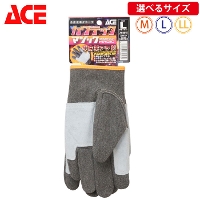 [ACE]AG6545 v JebN }WbN vAet