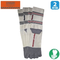 [jo[TI[o[I[] UN-501 UOAN5{w\bNX 2P