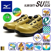 [~Ym] F1GA2513 I[}CeB SU51L BOA SC 