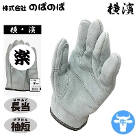 [̂΂̂] N421 _Jeyyz ICwDt