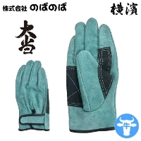 [̂΂̂] N493 _Je IC哖}WbN