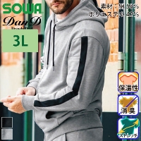 Ka [DanD] 2485-04 p[J[ (tWbv)yTCYz