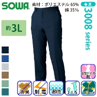 [Ka] 3008-09 XbNX(m[^bN) yTCYz