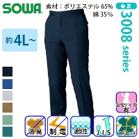 [Ka] 3008-09 XbNX(m[^bN) yTCYz