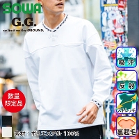 Ka [G.G.] 8545-55 g[i[(VlbNA|PbgL)