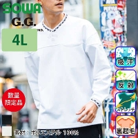 Ka [G.G.] 8545-55 g[i[(VlbNA|PbgL) yTCYz