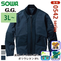 �K�a [G.G.] 0542-00 �����u���]�� �y��T�C�Y�z