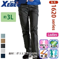 [�W�[�x�b�N] 1625 ���f�B�X�s�^���e�B�J�[�S�p���c �y��T�C�Y�z