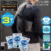 �R�[�R�X [GLADIATOR] G-260479 �A�C�X�x�X�g���A�C�X�p�b�N�i300g�j3�Z�b�g