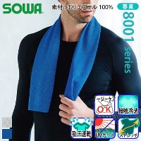 [�K�a] 8001-95 �^�I��